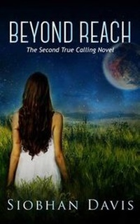 Enlarge image Cover: Beyond Reach - Siobhan Davis