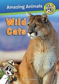 Cover: Wild Cats - Muddy Boots