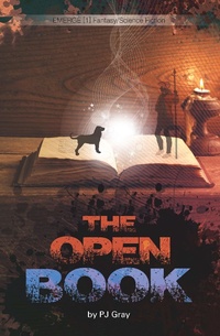Enlarge image Cover: The Open Book - Saddleback Educational Publishing, Inc.