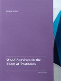 Cover: Wood Survives in the Form of Postholes - Camera Austria