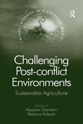Cover: Challenging Post-conflict Environments - Routledge