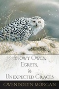 Cover: Snowy Owls, Egrets, and Unexpected Graces - Homebound Publications