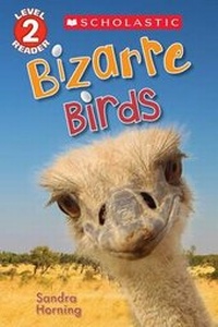 Enlarge image Cover: Bizarre Birds - Scholastic US