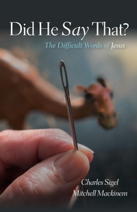 Enlarge image Cover: Did He Say That? - Wipf & Stock Publishers