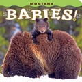 Cover: Montana Babies! - Farcountry Press