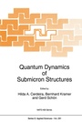 Cover: Quantum Dynamics of Submicron Structures - Springer