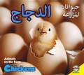 Cover: Chickens - Av2 Arabic
