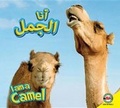 Cover: Camel - Av2 Arabic