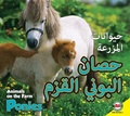 Cover: Ponies - Av2 Arabic