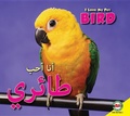 Cover: Bird - Av2 Arabic