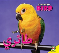 Enlarge image Cover: Bird - Av2 Arabic