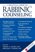 Cover: A Practical Guide to Rabbinic Counseling - Jewish Lights Publishing