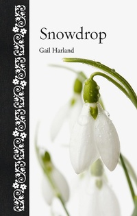 Abbildung von: Snowdrop - Reaktion Books