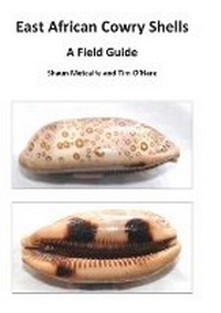 Enlarge image Cover: East African Cowry Shells - Spiderwize