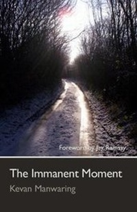Enlarge image Cover: The Immanent Moment - Awen Publications