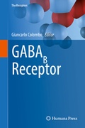 Abbildung von: GABAB Receptor - Humana