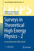 Cover: Surveys in Theoretical High Energy Physics - 2 - Springer