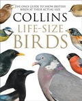 Cover: Collins Life-Size Birds - William Collins