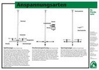 Abbildung von: Die Anspannungsarten - FN Verlag