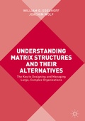 Cover: Understanding Matrix Structures and their Alternatives - Palgrave Macmillan