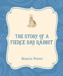 Cover: The Story of a Fierce Bad Rabbit - Xist Publishing