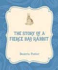 Cover: The Story of a Fierce Bad Rabbit - Xist Publishing
