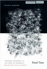 Enlarge image Cover: Dead Time - Stanford University Press