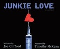 Cover: Junkie Love - Cherry Hill Publishing