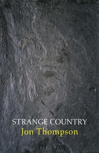 Enlarge image Cover: Strange Country - Shearsman Books