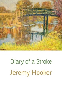 Enlarge image Cover: Diary of a Stroke - Shearsman Books