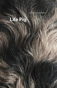 Enlarge image Cover: Life Pig - University of Chicago Press
