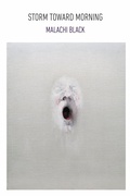 Cover: Storm Toward Morning - Copper Canyon Press