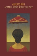 Cover: A Small Story about the Sky - Copper Canyon Press