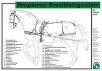 Abbildung von: Einspänner-Brustblattgeschirr - FN Verlag
