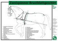 Abbildung von: Zweispänner-Brustblattgeschirr - FN Verlag