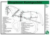 Abbildung von: Einspänner-Kumtgeschirr - FN Verlag