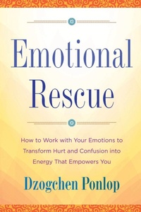 Enlarge image Cover: Emotional Rescue - Tarcherperigee