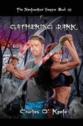 Cover: The Newfoundland Vampire Book III - Four Phoenixes Publishing