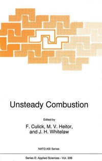 Enlarge image Cover: Unsteady Combustion - Kluwer Academic Publishers