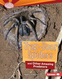 Enlarge image Cover: Trap-Door Spiders and Other Amazing Predators - Lerner Publishing Group