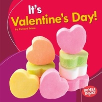 Enlarge image Cover: It's Valentine's Day! - Lerner Publishing Group