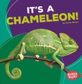 Cover: It's a Chameleon! - Lerner Publishing Group
