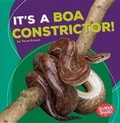 Cover: It's a Boa Constrictor! - Lerner Publishing Group