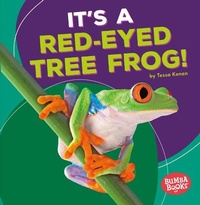 Enlarge image Cover: It's a Red-Eyed Tree Frog! - Lerner Publishing Group
