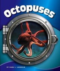Enlarge image Cover: Octopuses - Child's World