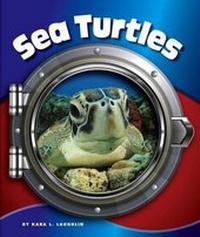 Enlarge image Cover: Sea Turtles - Child's World