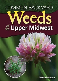 Enlarge image Cover: Common Backyard Weeds of the Upper Midwest - Adventure Publications, Incorporated