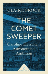 Enlarge image Cover: The Comet Sweeper (Icon Science) - Icon Books