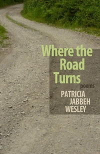 Enlarge image Cover: Where the Road Turns - Autumn House Press