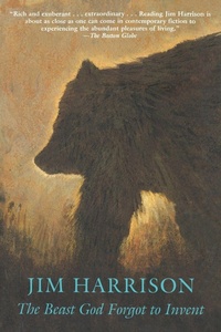 Enlarge image Cover: The Beast God Forgot to Invent - Grove Press / Atlantic Monthly Press